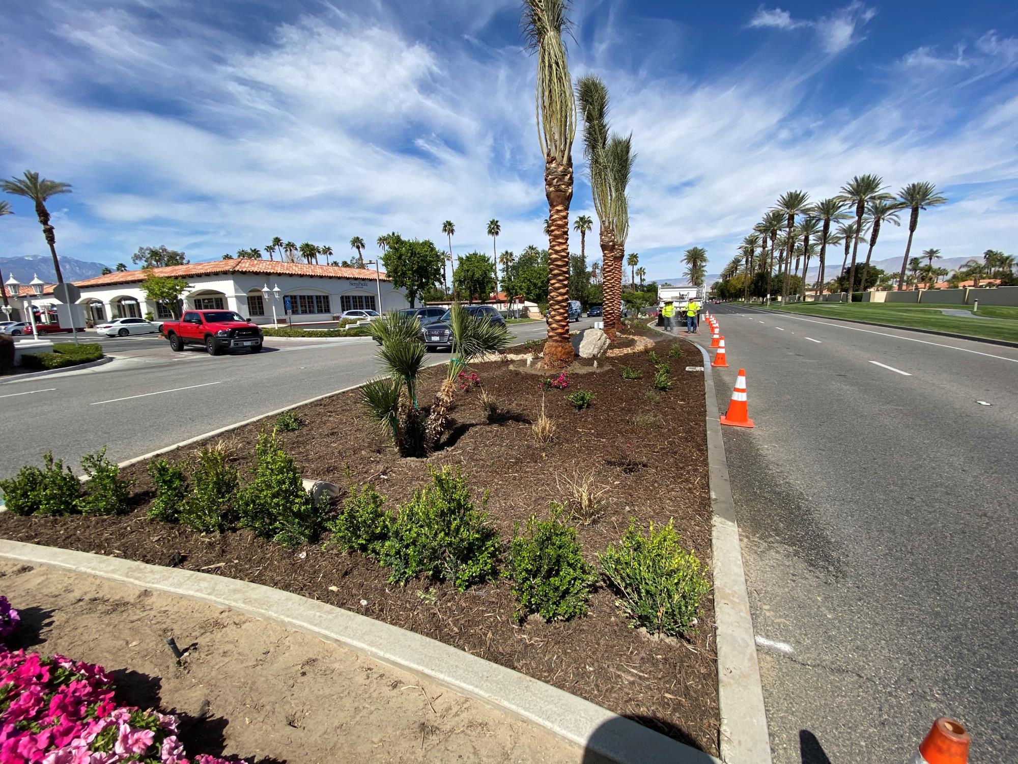 Cook Median Landscaping