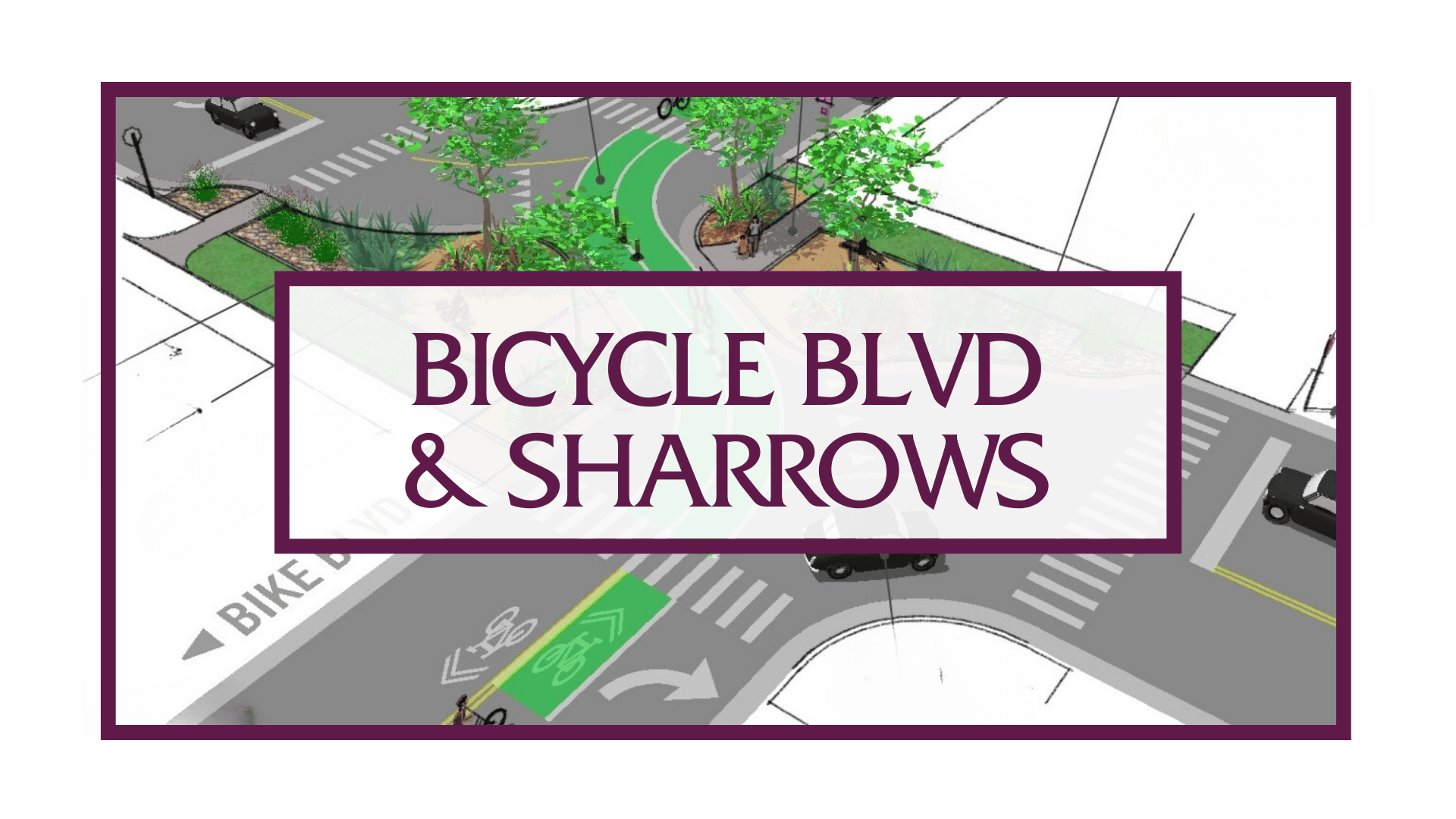 Bicycle Blvd & Sharrows Button