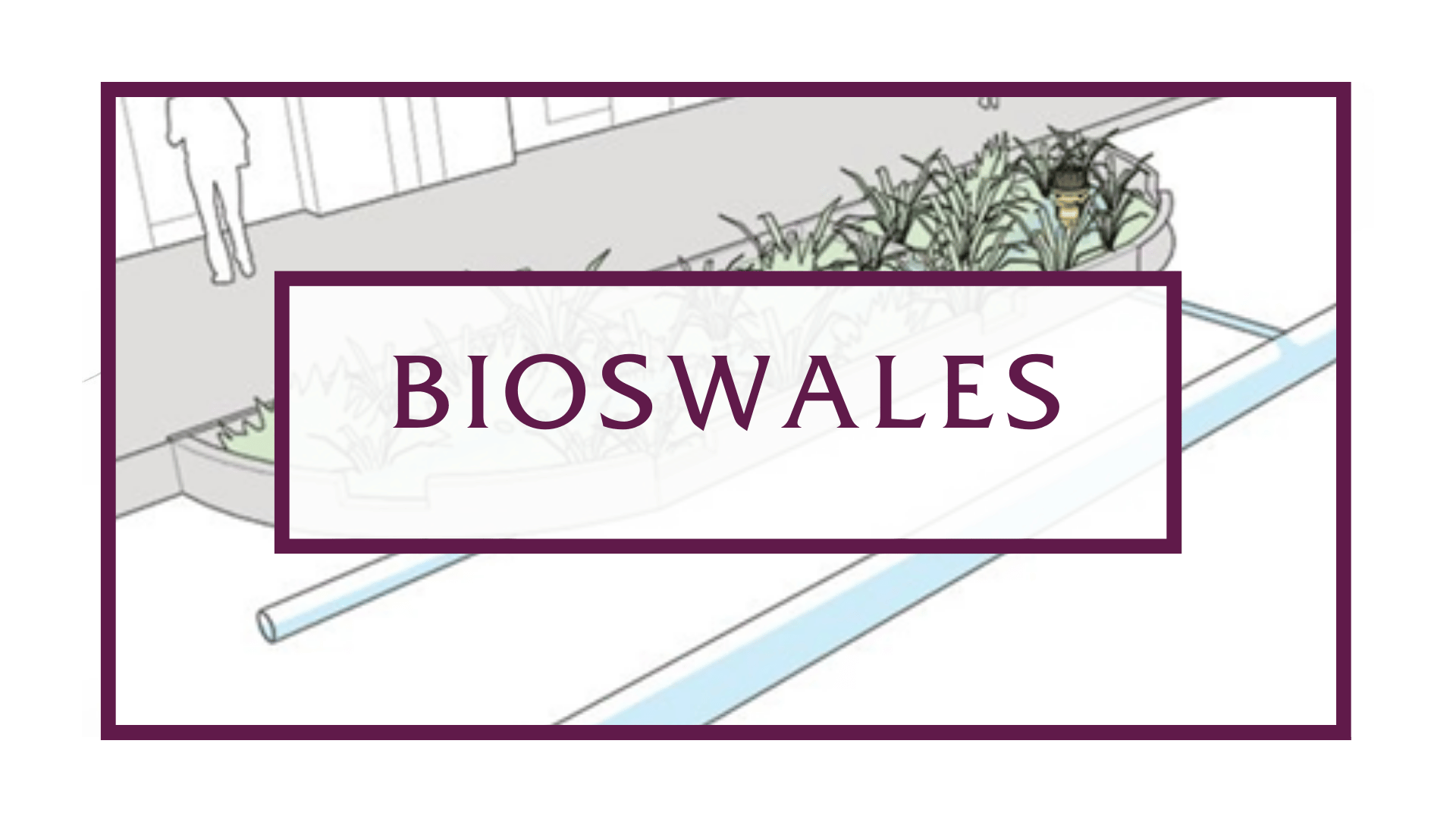 Bioswales Button